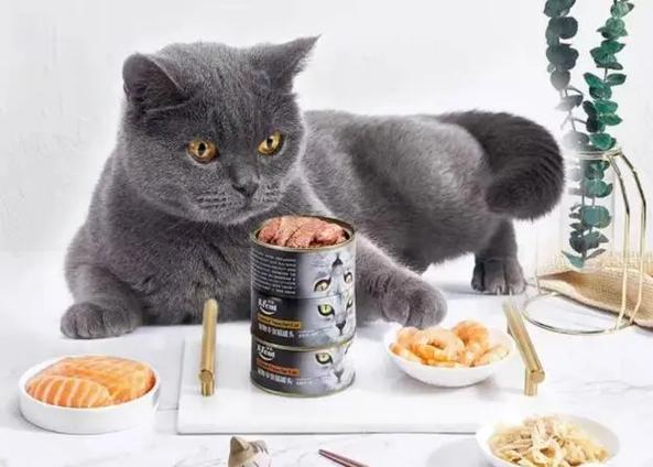 宠物食品进口清关资料,进口宠物食品代理清关